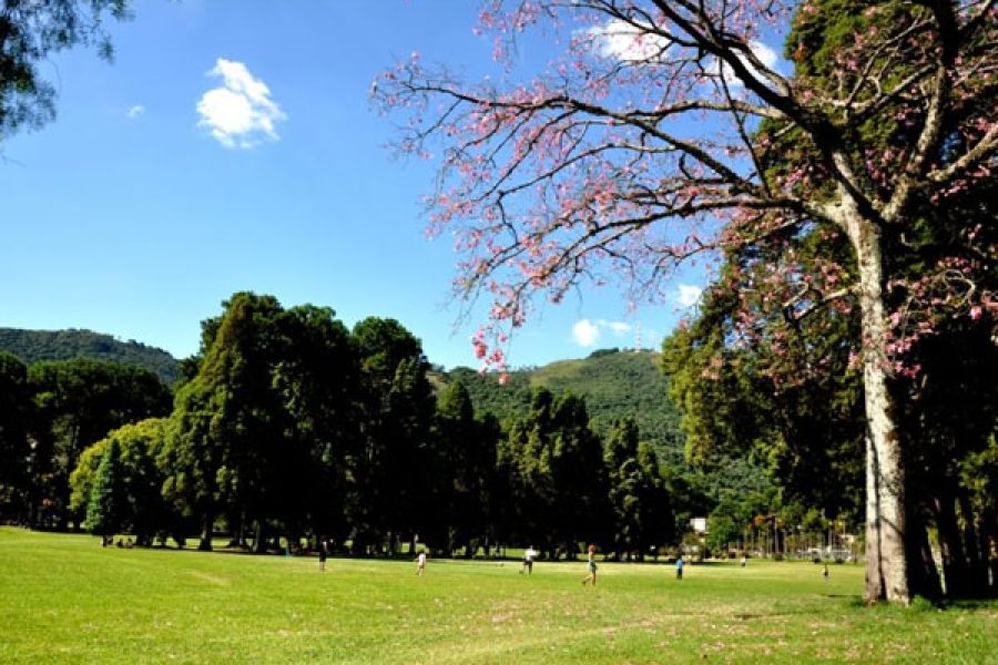 foto-prefeitura-de-pocos-de-caldas-promove-caminhada-no-dia-mundial-sem-carro-22-09-25