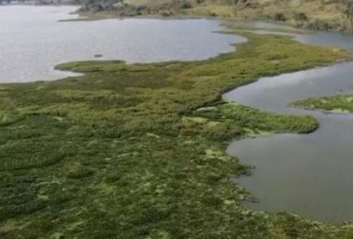 Foto: PMPC/Divulgação