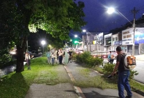 foto-corte-noturno-vegetacao-14-01-2026