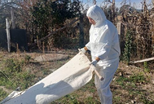 foto-prefeitura-monitora-carrapatos-em-regioes-da-cidade-para-evitar-doencas-25-07-25