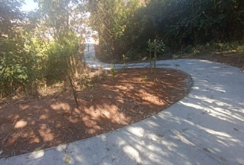 Foto: Divulgação