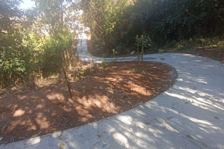 Foto: Divulgação