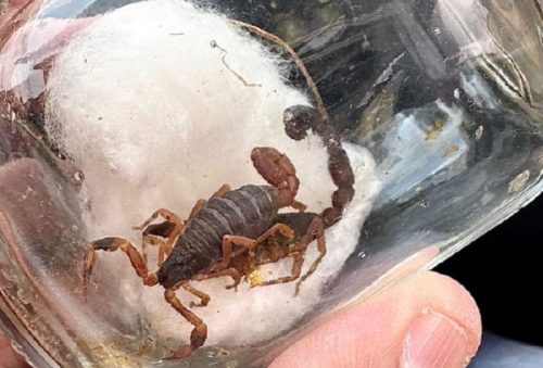 foto-prefeitura-prevencao-08-12-2025