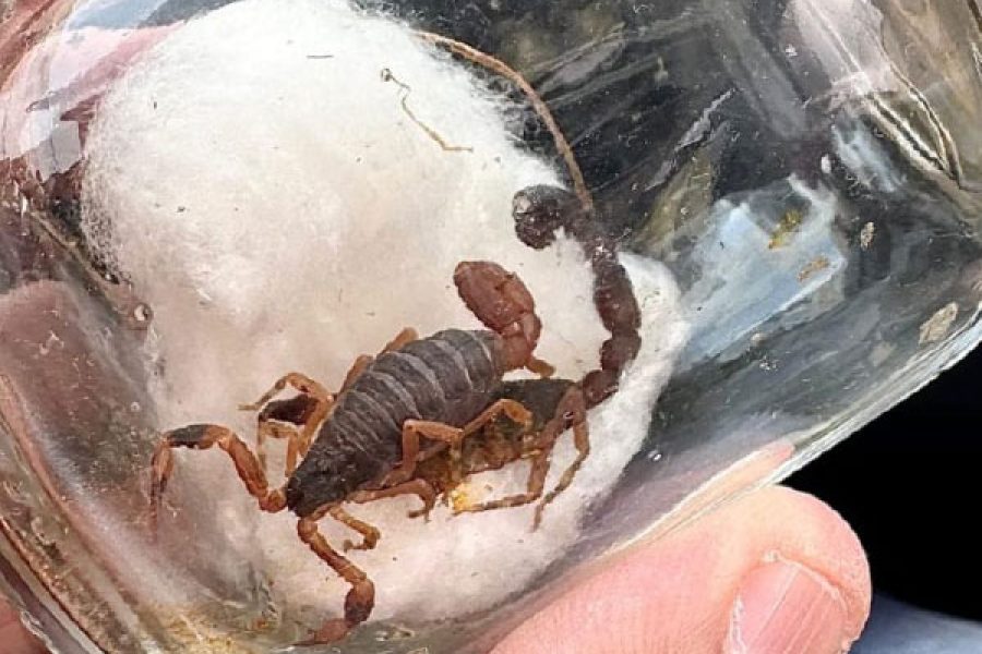 foto-prefeitura-prevencao-08-12-2025