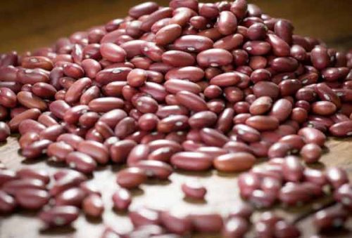 foto-producao-feijao_12_02_26