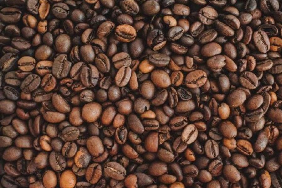 foto-concurso-qualidade-cafes-09-07-2026
