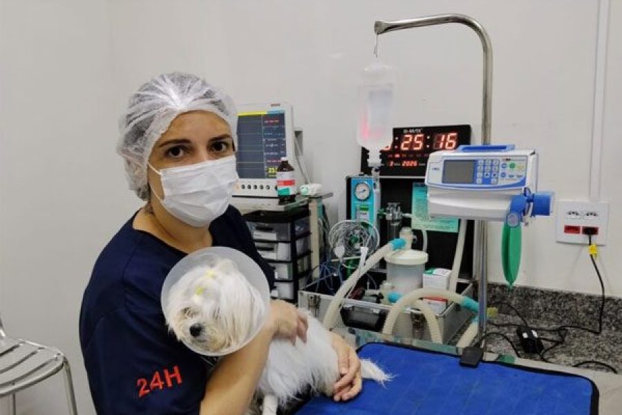 foto-pcastracao-animal-07-08-2026