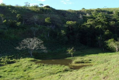 foto-projeto-preservar-nascentes-11-11-2025