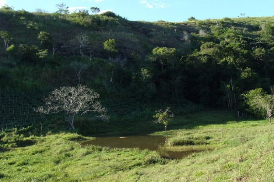 foto-projeto-preservar-nascentes-11-11-2025