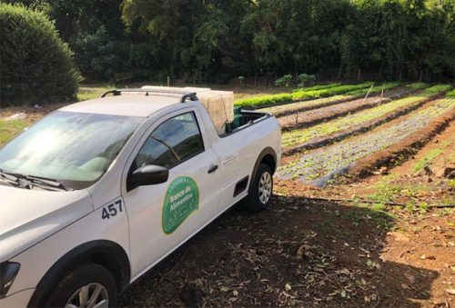 foto-paa-municipal-31-01-2026