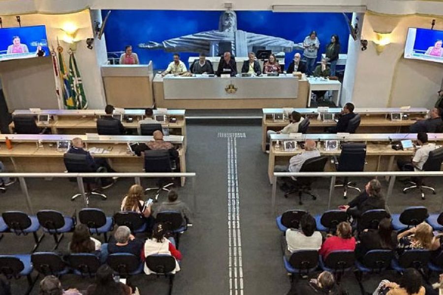 foto-realizada-audiencia-publica-na-camara-debatendo-politicas-publicas-para-o-artesanato-em-pocos-22-05-25