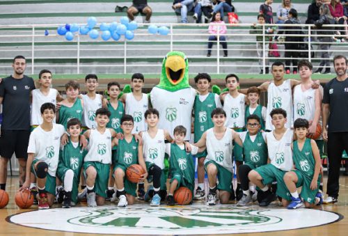 Foto: Divulgação