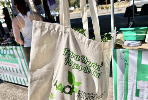 foto-feira-organica-06-02-2026