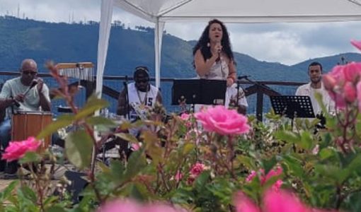 foto-samba-jatoba-13-03-2026