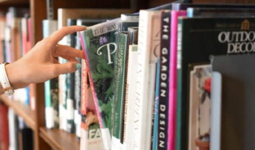 foto-editais-artes-plasticas-12-02-2026