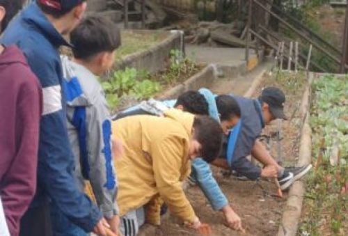 foto-semana-do-meio-ambiente-tem-inicio-com-acao-do-jardim-botanico-em-escola-municipal-03-03-25