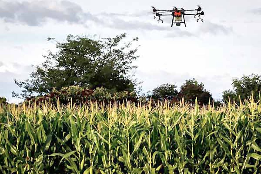 foto-senar-06-02-2026