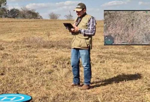 foto-senar_minas_10_02_26