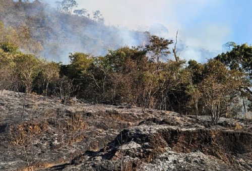 Foto: Paulo Vitor/Mantiqueira