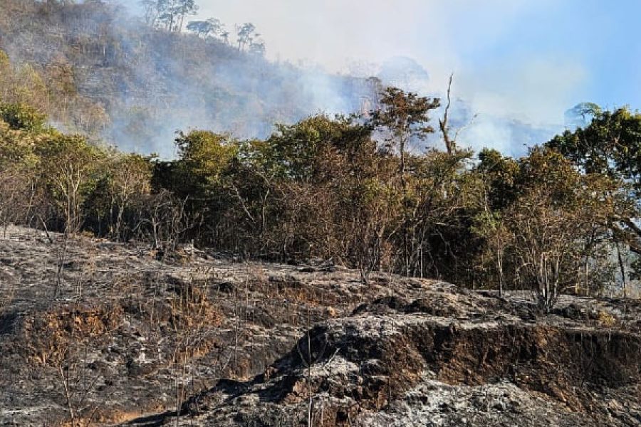 Foto: Paulo Vitor/Mantiqueira