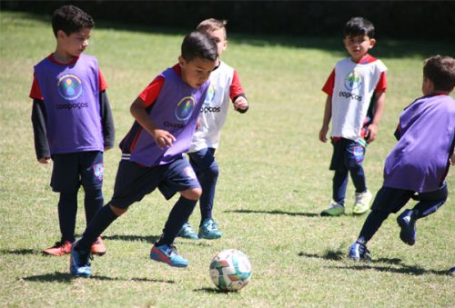 foto-zico10-coopocos-04-10-2025