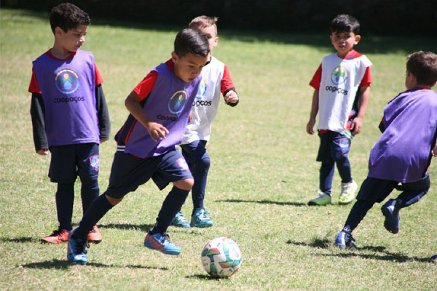 foto-zico10-coopocos-04-10-2025