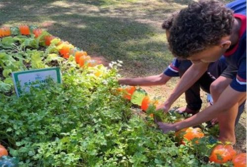foto-agro-escola-23-05-2026