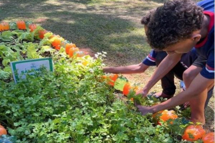 foto-agro-escola-23-05-2026