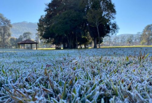 frio_19