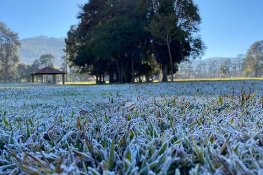 frio_19