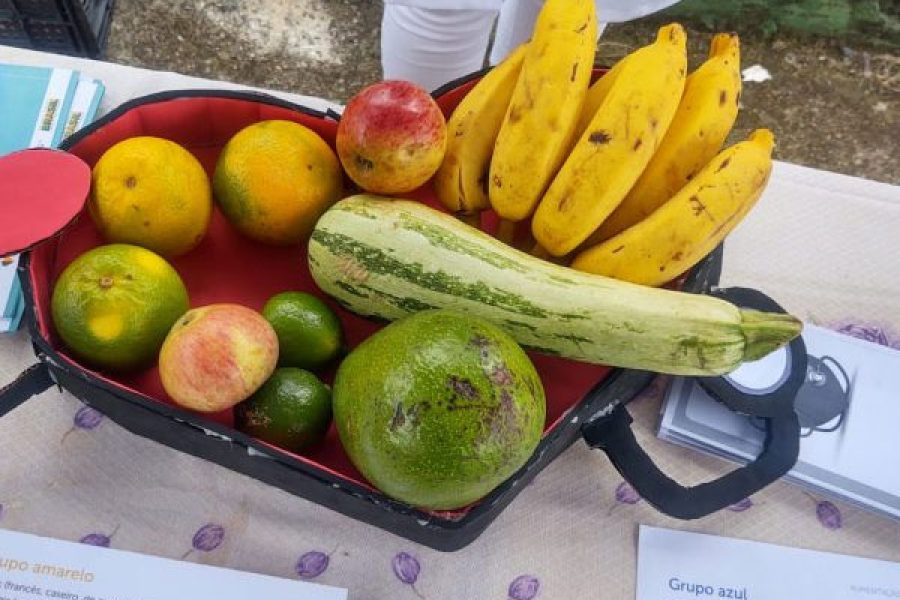 frutas_19