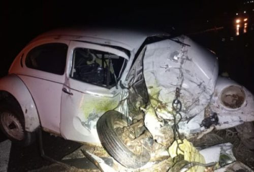 fusca_19