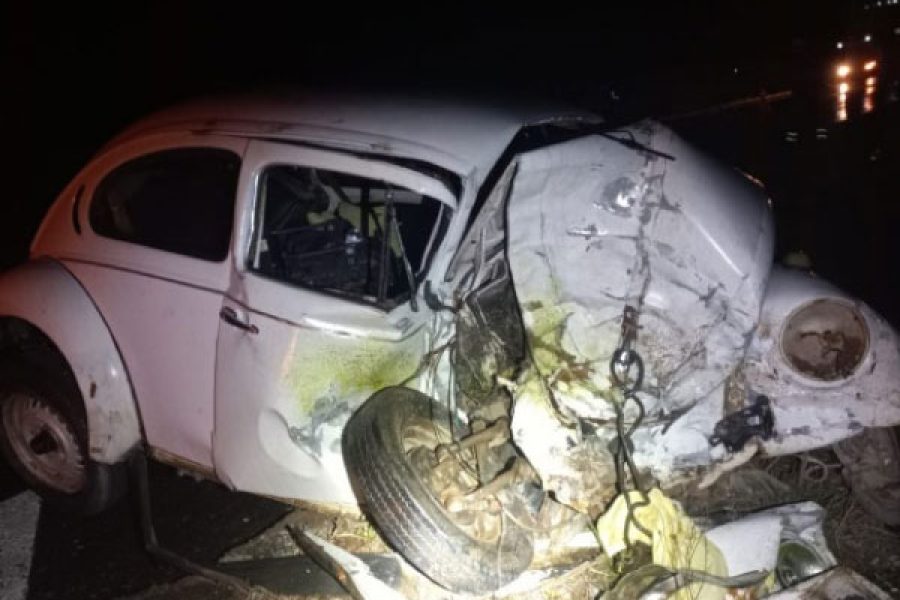 fusca_19