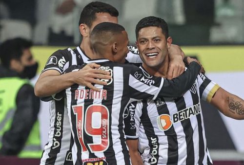 galo_20