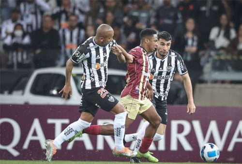 galo_26