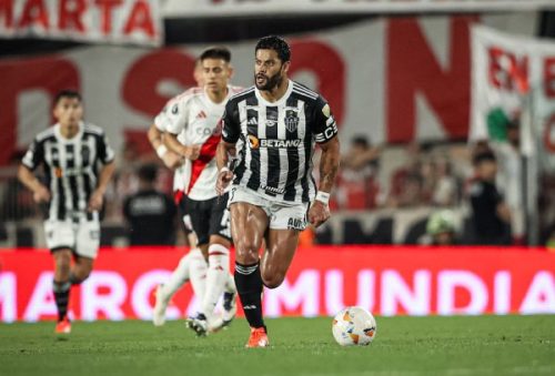 galo_30