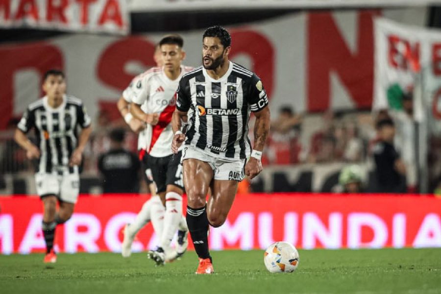 galo_30