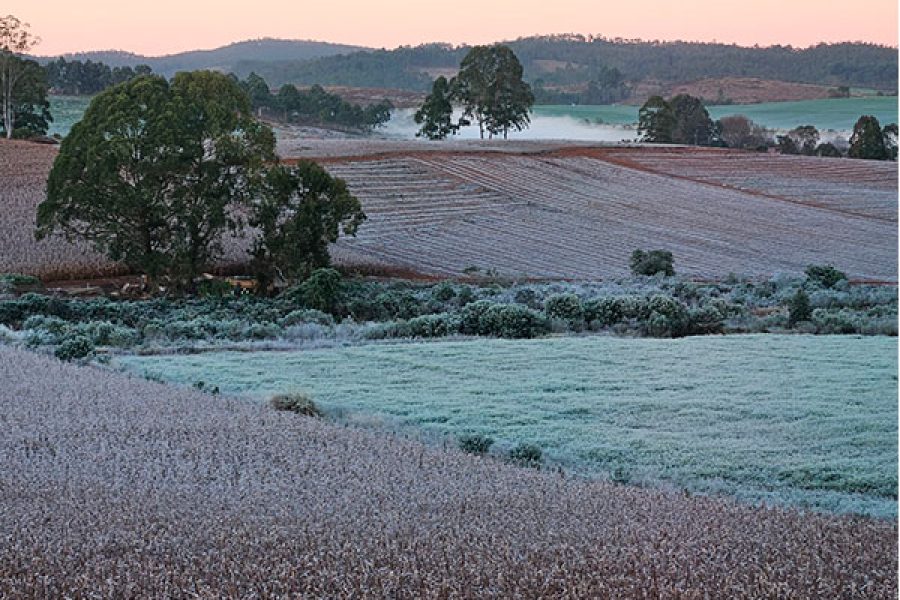 Foto: Marcos Corrêa/Mantiqueira
