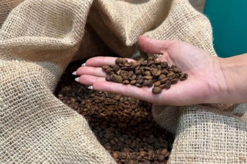 foto-agronegócio-mineiro-16-12-2025