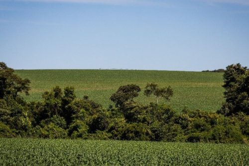 foto-funrural-21-01-2026