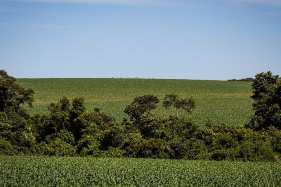 foto-funrural-21-01-2026