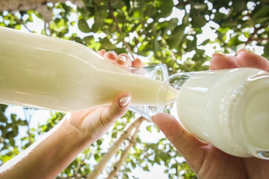 foto-faemg-leite-21-01-2026