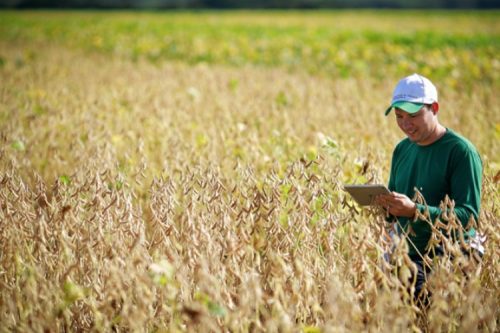 Residência agropecuária une teoria e prática