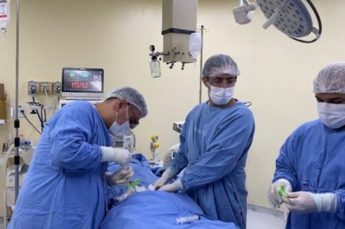 UFU faz primeiro transplante alogênico