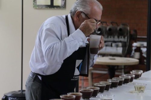 Novo protocolo transforma avaliação dos cafés especiais no Brasil