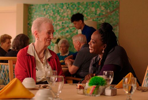 foto-ims-filmes-29-10-2025