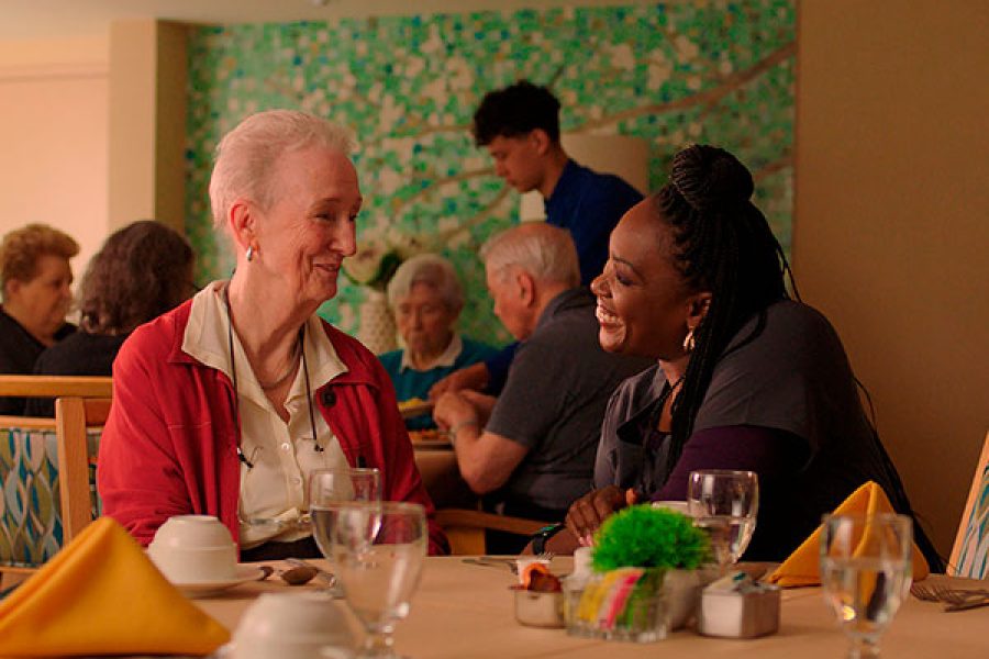 foto-ims-filmes-29-10-2025