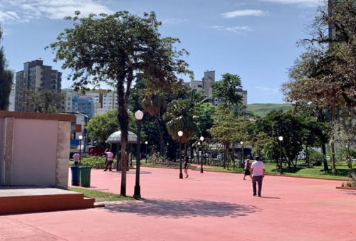 macacos_4