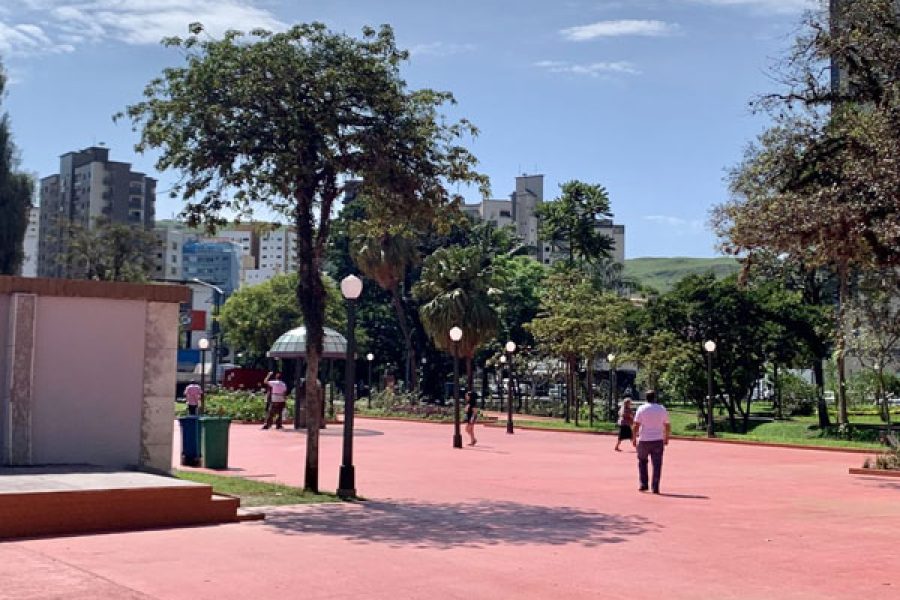 macacos_4