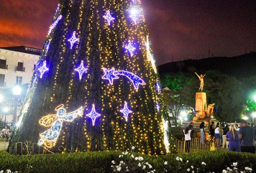 natal1